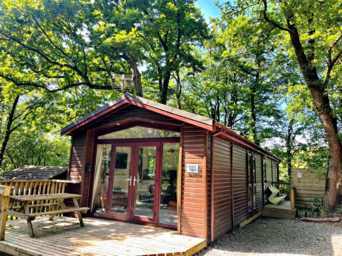 Welsh Villa-Hot Tub-Tenby-Carmarthen-Forestsetting Exteriör bild